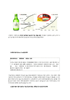 [마케팅성공사례] `(주)두산 처음처럼` 마케팅 분석-13