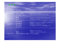 [방송원론] 광고의 정의와 역사-10