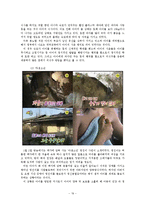 [사회문제론] 가정폭력의 현황과 문제점-19