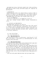 지방자치단체 레포트-13