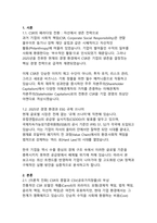 Beyond ESG 지속가능한 성장을 위한 CSR의 진화와 전략적 대전환-3