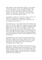 최신 트렌드 중심 광고 카피의 수사적 효과 분석-4