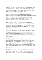최신 트렌드 중심 광고 카피의 수사적 효과 분석-9