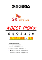 SK에어플러스 면접기출(최신)+꿀팁[최종합격!] +1000대기업 1차 직무면접 + 2차 임원면접 최종합격자 답안-1