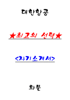 대한항공 화물 자기소개서-1