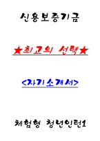 신용보증기금 체험형 청년인턴1 자기소개서-1