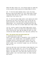 희토류 - 글로벌 자원 부족과 중국의 전략적 지배를 통해 본 미래 산업의 위기와 기회-6