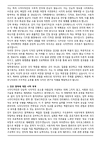A+ 홍익대 일반대학원 시각디자인전공 학업계획서-3