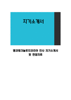앰코테크놀로지코리아 인사 자기소개서 및 면접자료-1