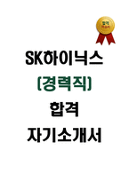 SK하이닉스 경력직 합격 자기소개서-1