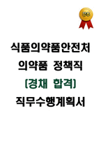 식품의약품안전처 의약품 정책직 (경채 합격) 직무수행계획서-1