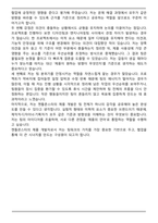 아이아이컴바인드(젠틀몬스터) 제품 개발 자기소개서-5