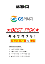 GS에너지 면접기출(최신)+꿀팁[최종합격!] +1000대기업 1차 직무면접 + 2차 임원면접 최종합격자 답안-1
