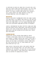 AVMOV와 디지털 성범죄의 법적 처벌 체계(최신 개정법을 중심으로 한 처벌 규정과 예방 대응 전략)-11