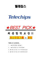 텔레칩스 면접기출(최신)+꿀팁[최종합격!] +1000대기업 1차 직무면접 + 2차 임원면접 최종합격자 답안-1