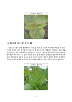 [식물의학] 주변에서 확인할 수 있는 영양 결핍 2가지 영양 결핍에 의한 식물의 증상을 살펴보고 직접 사진촬영하여 제시 및 영양분의 생리적 기능 결핍에 의한 증상 및 대책에 대해 설명하라 제초제의 처리 형태에 따른 분류를 설명하시오-3
