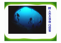 [스포츠] 스킨스쿠버 다이빙-1