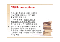 [프랑스문학사] 자연주의 Naturalisme-3
