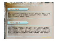 서브프라임 모기지 사태의 영향과 전망-16