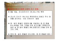 서브프라임 모기지 사태의 영향과 전망-20