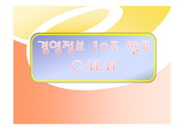 [경영정보] CMM(Capabilit Maturity Model)-1