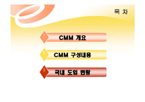 [경영정보] CMM(Capabilit Maturity Model)-2