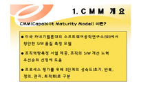 [경영정보] CMM(Capabilit Maturity Model)-3