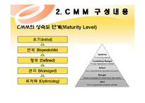 [경영정보] CMM(Capabilit Maturity Model)-5