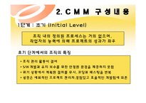 [경영정보] CMM(Capabilit Maturity Model)-6