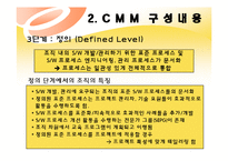 [경영정보] CMM(Capabilit Maturity Model)-8