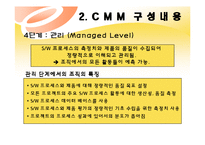 [경영정보] CMM(Capabilit Maturity Model)-9