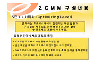 [경영정보] CMM(Capabilit Maturity Model)-10