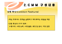 [경영정보] CMM(Capabilit Maturity Model)-14