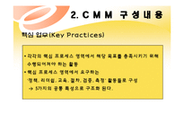 [경영정보] CMM(Capabilit Maturity Model)-15