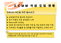 [경영정보] CMM(Capabilit Maturity Model)-20