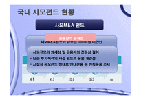 사모펀드 레포트-18