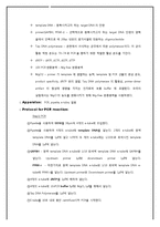 [분자생물학실험] Polymerase Chain Reation(PCR)-3