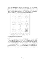 게슈탈트 이론을 이용한 영상마케팅-5