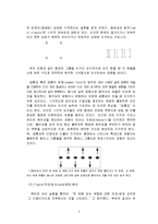 게슈탈트 이론을 이용한 영상마케팅-7
