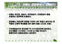 인류 영장류의 진화-3