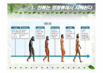 인류 영장류의 진화-6