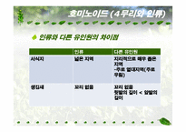 인류 영장류의 진화-12