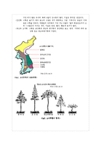 [생태학] 소나무 멸종에 대한 보고서(소나무 멸종)-5