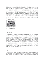 [생태학] 소나무 멸종에 대한 보고서(소나무 멸종)-8