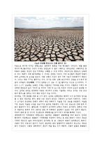 [생태학] 소나무 멸종에 대한 보고서(소나무 멸종)-13