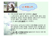 [사회학] 술의어원과 문화,역사,변천사,예절에 대한분석-4