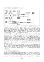 [재료] 주사전자 현미경-2