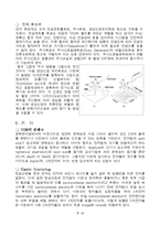 [재료] 주사전자 현미경-5
