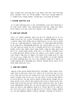 [교통시설, 교통문제, 교통정책] 교통시설의 종류, 정비와 교통문제 및 향후 교통정책의 방향 분석-6