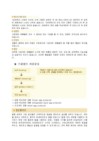 [농학, 계란 가공, 동물자원, 계란성분, 계란 전망] 계란가공품 현황과 전망-5